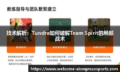 技术解析：Tundra如何破解Team Spirit的局部战术